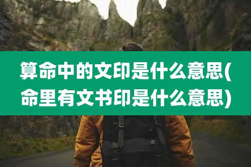 算命中的文印是什么意思(命里有文书印是什么意思)