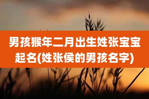 男孩猴年二月出生姓张宝宝起名(姓张侯的男孩名字)