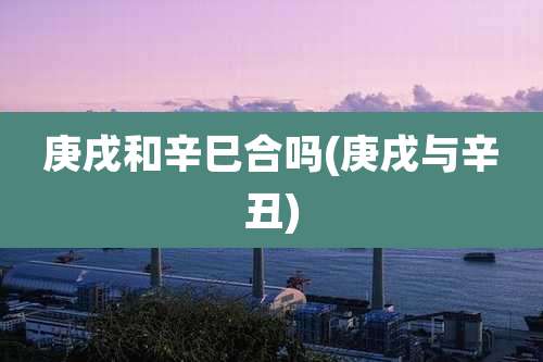 庚戌和辛巳合吗(庚戌与辛丑)