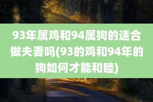 93年属鸡和94属狗的适合做夫妻吗(93的鸡和94年的狗如何才能和睦)