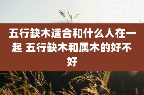 五行缺木适合和什么人在一起 五行缺木和属木的好不好