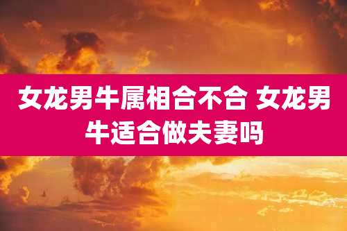 女龙男牛属相合不合 女龙男牛适合做夫妻吗