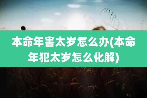本命年害太岁怎么办(本命年犯太岁怎么化解)