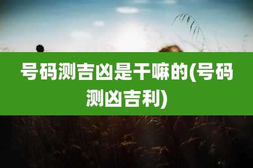 号码测吉凶是干嘛的(号码测凶吉利)