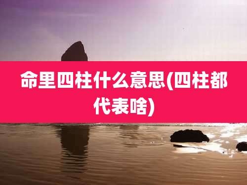 命里四柱什么意思(四柱都代表啥)