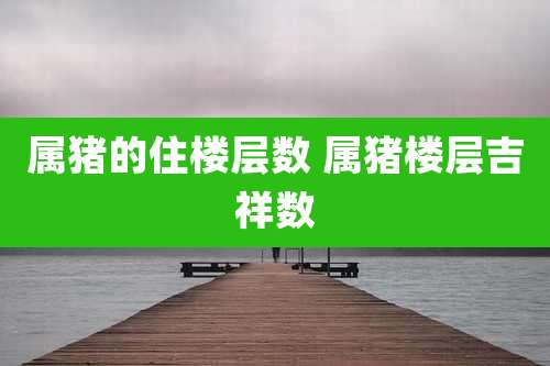 属猪的住楼层数 属猪楼层吉祥数