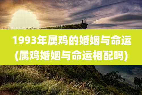 1993年属鸡的婚姻与命运(属鸡婚姻与命运相配吗)