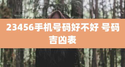 23456手机号码好不好 号码吉凶表