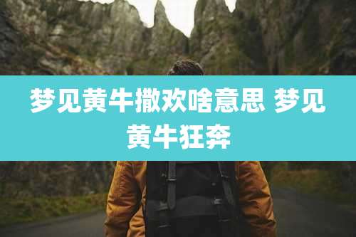 梦见黄牛撒欢啥意思 梦见黄牛狂奔