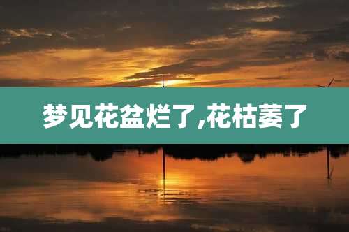 梦见花盆烂了,花枯萎了