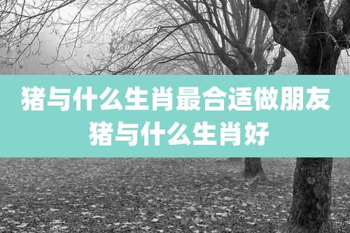 猪与什么生肖最合适做朋友 猪与什么生肖好