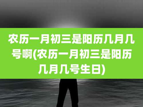 农历一月初三是阳历几月几号啊(农历一月初三是阳历几月几号生日)