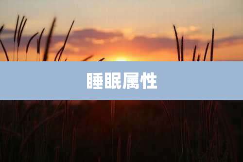 睡眠属性