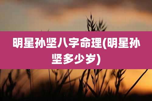 明星孙坚八字命理(明星孙坚多少岁)