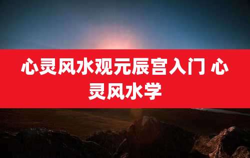 心灵风水观元辰宫入门 心灵风水学