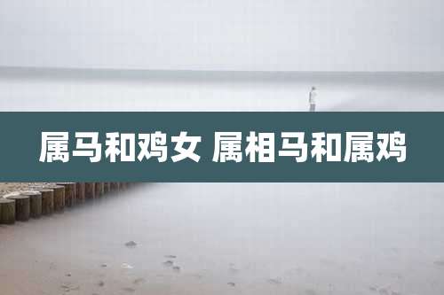 属马和鸡女 属相马和属鸡
