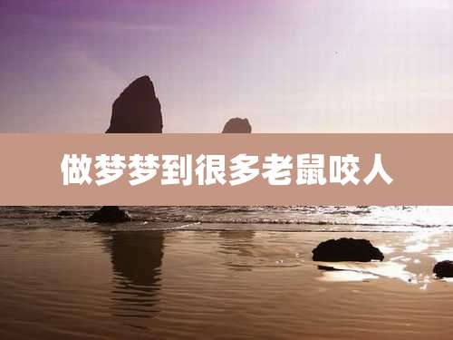 做梦梦到很多老鼠咬人