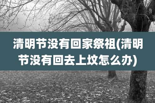 清明节没有回家祭祖(清明节没有回去上坟怎么办)