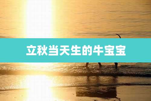 立秋当天生的牛宝宝