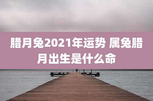 腊月兔2021年运势 属兔腊月出生是什么命