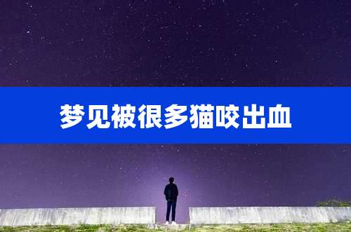 梦见被很多猫咬出血