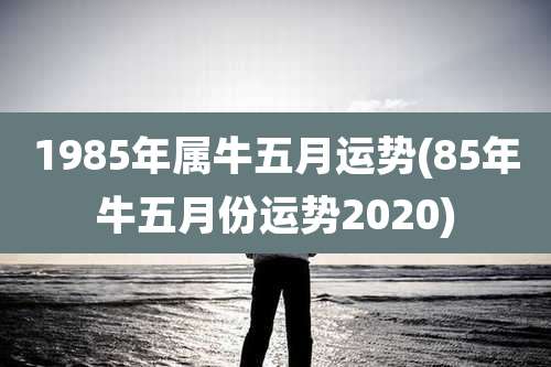 1985年属牛五月运势(85年牛五月份运势2020)