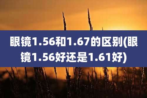 眼镜1.56和1.67的区别(眼镜1.56好还是1.61好)