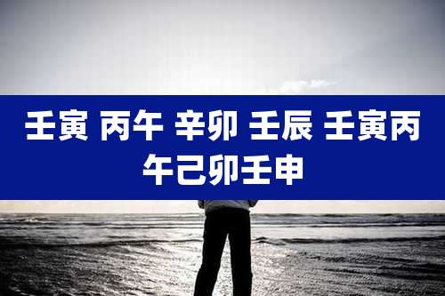 壬寅 丙午 辛卯 壬辰 壬寅丙午己卯壬申