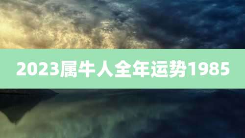 2023属牛人全年运势1985