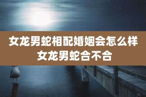 女龙男蛇相配婚姻会怎么样 女龙男蛇合不合