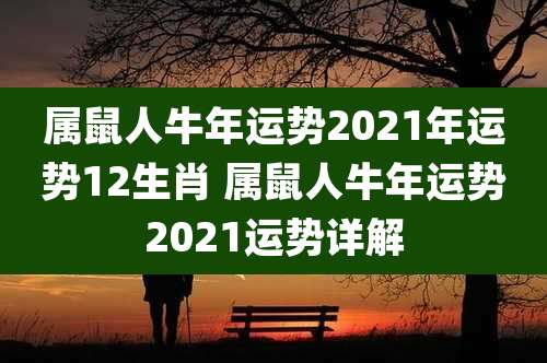 属鼠人牛年运势2021年运势12生肖 属鼠人牛年运势2021运势详解