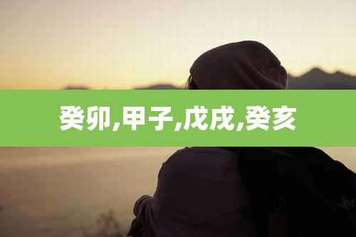 癸卯,甲子,戊戌,癸亥