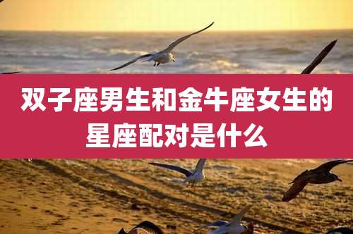 双子座男生和金牛座女生的星座配对是什么
