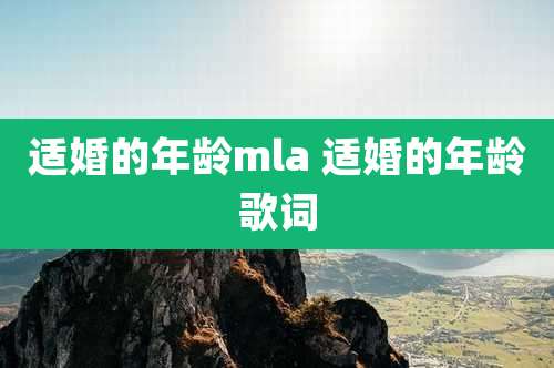 适婚的年龄mla 适婚的年龄歌词