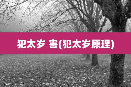 犯太岁 害(犯太岁原理)