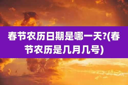 春节农历日期是哪一天?(春节农历是几月几号)