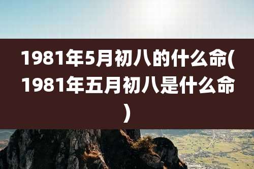 1981年5月初八的什么命(1981年五月初八是什么命)