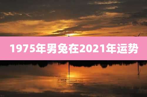 1975年男兔在2021年运势