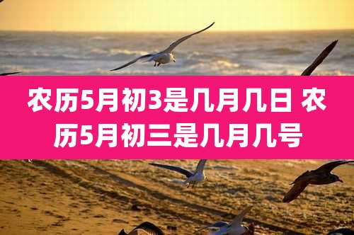 农历5月初3是几月几日 农历5月初三是几月几号