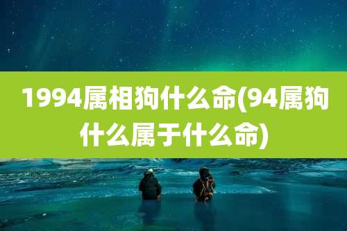 1994属相狗什么命(94属狗什么属于什么命)