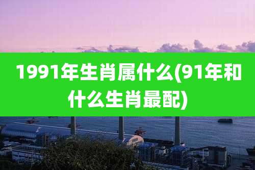 1991年生肖属什么(91年和什么生肖最配)