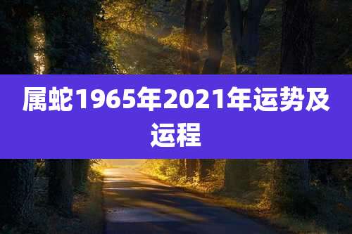 属蛇1965年2021年运势及运程