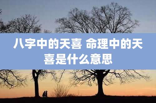 八字中的天喜 命理中的天喜是什么意思