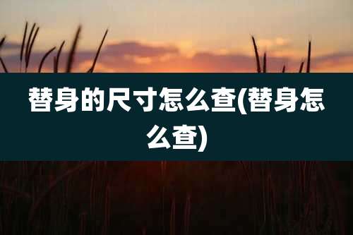 替身的尺寸怎么查(替身怎么查)
