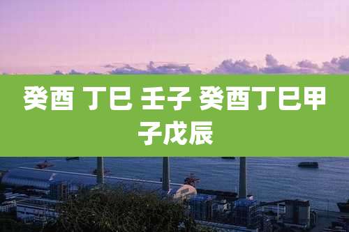 癸酉 丁巳 壬子 癸酉丁巳甲子戊辰