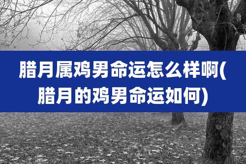 腊月属鸡男命运怎么样啊(腊月的鸡男命运如何)