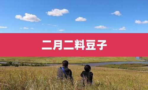 二月二料豆子