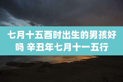 七月十五酉时出生的男孩好吗 辛丑年七月十一五行