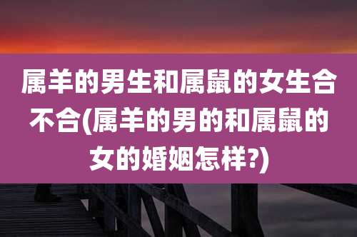 属羊的男生和属鼠的女生合不合(属羊的男的和属鼠的女的婚姻怎样?)