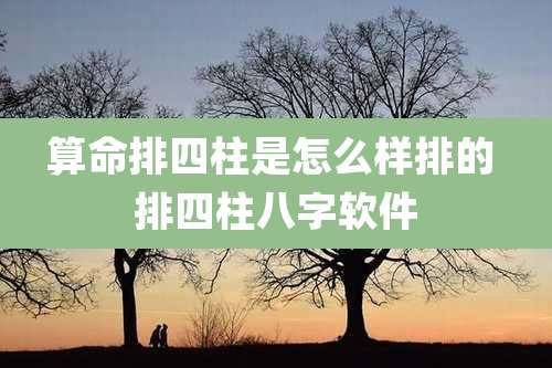 算命排四柱是怎么样排的 排四柱八字软件